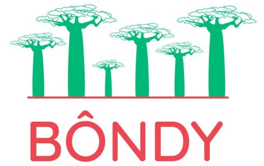 Monitoring Reforestation Success using Machine Learning